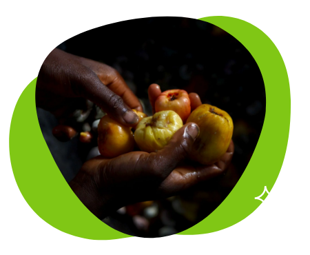 Aperitifs at the biodiversity expense